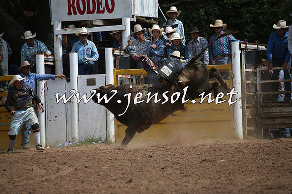 TaralgaRodeo2016_7649
