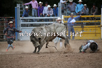 Open Bull