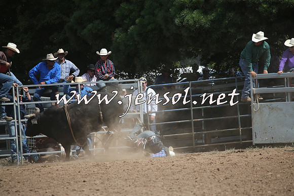 TaralgaRodeo2016_7632