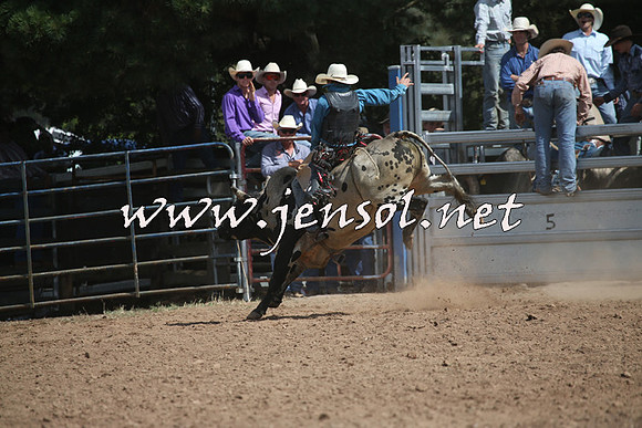 TaralgaRodeo2016_7702