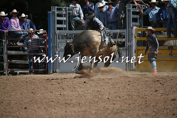 TaralgaRodeo2016_7502