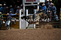 TaralgaRodeo2016_7495