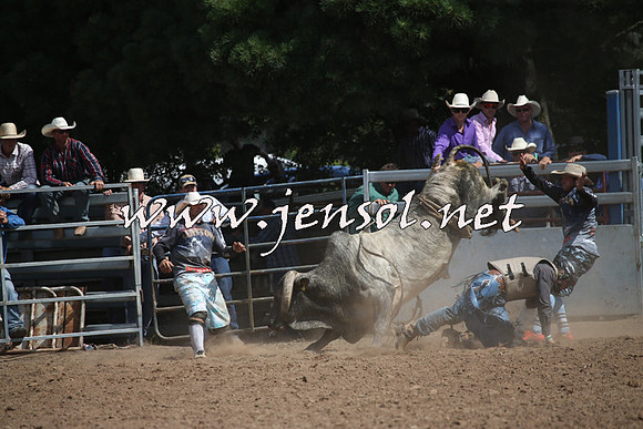 TaralgaRodeo2016_7727