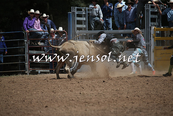 TaralgaRodeo2016_7518