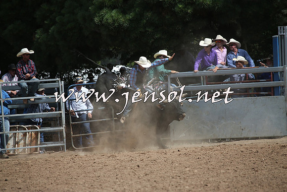 TaralgaRodeo2016_7611