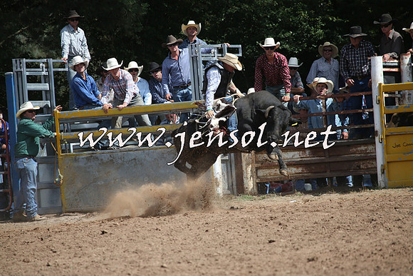 TaralgaRodeo2016_7745