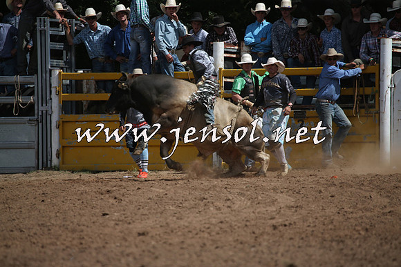 TaralgaRodeo2016_7514
