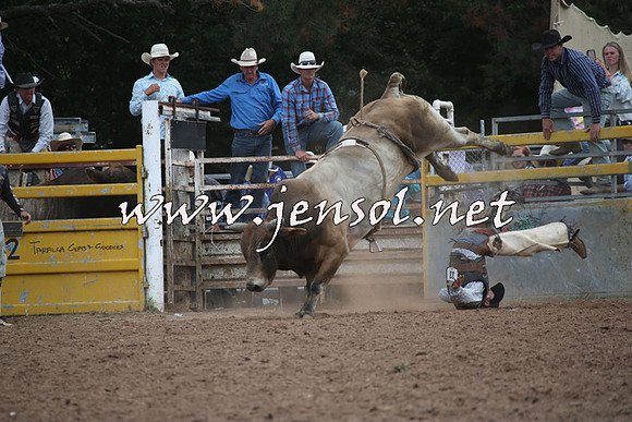 TaralgaRodeo2016_9123