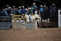 TaralgaRodeo2016_7476