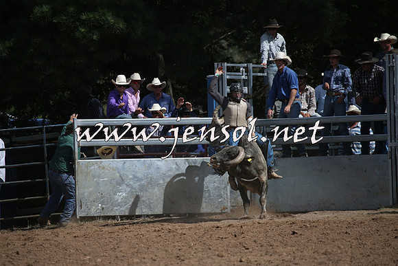 TaralgaRodeo2016_7715