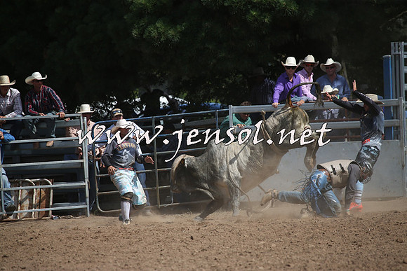 TaralgaRodeo2016_7728