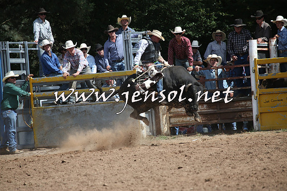 TaralgaRodeo2016_7742