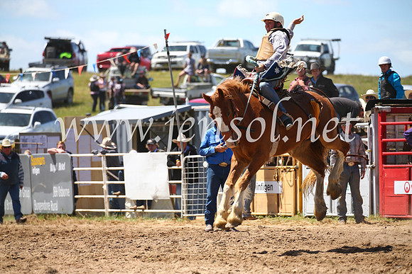 BungendoreRodeo2016-2418