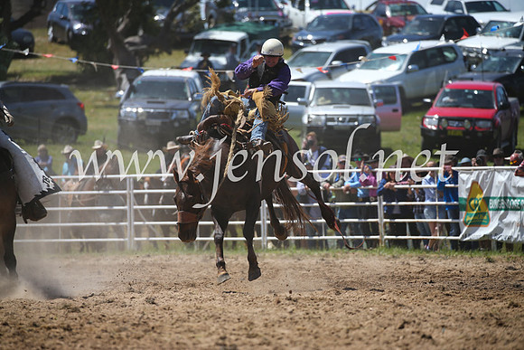 BungendoreRodeo2016-2409