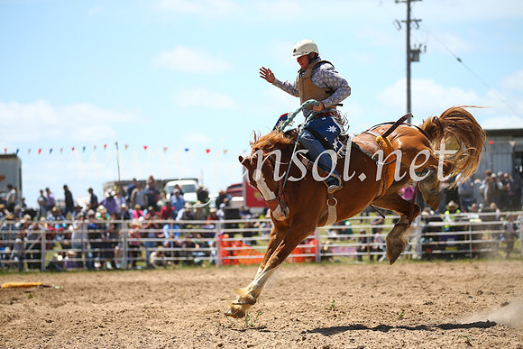 BungendoreRodeo2016-2451