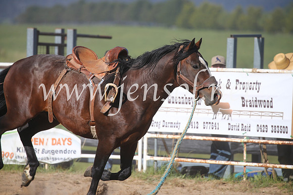 BungendoreRodeo2016-5188
