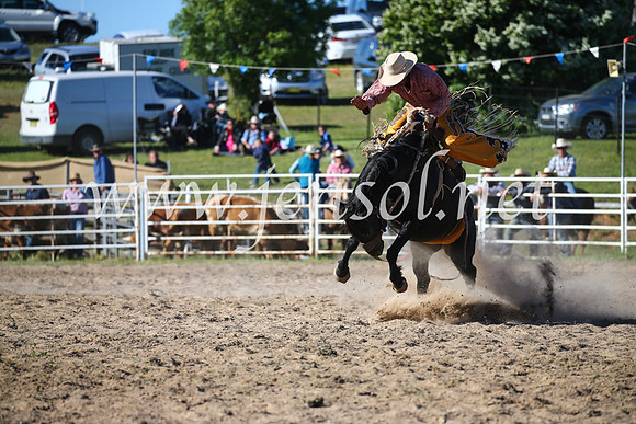BungendoreRodeo2016-4540