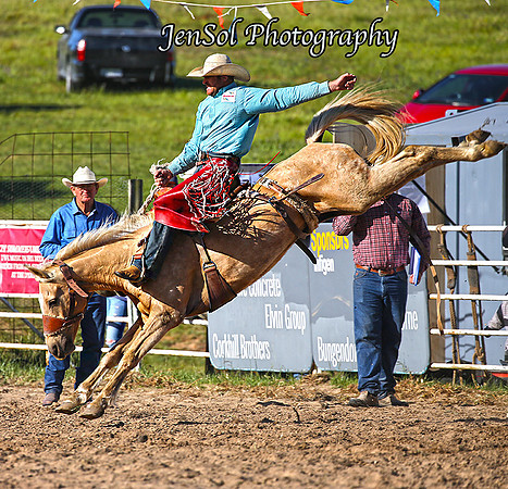SaddleBronc-4803 copy