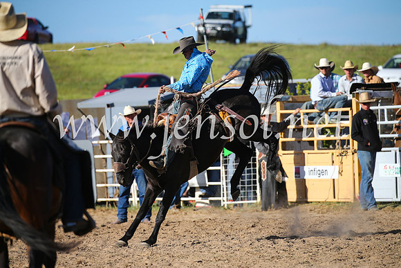 BungendoreRodeo2016-4997