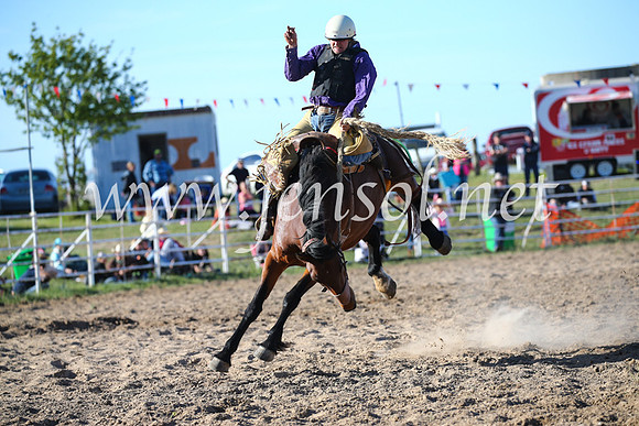 BungendoreRodeo2016-4975