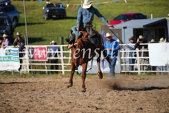 BungendoreRodeo2016-4741