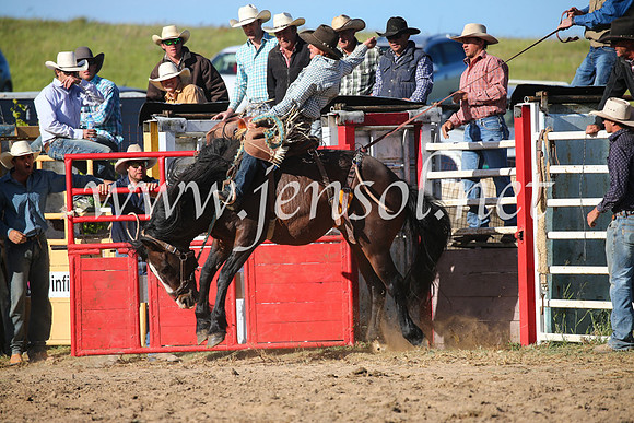 BungendoreRodeo2016-5131