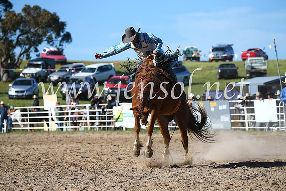 BungendoreRodeo2016-4486