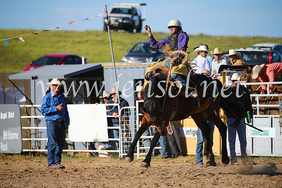 BungendoreRodeo2016-4936