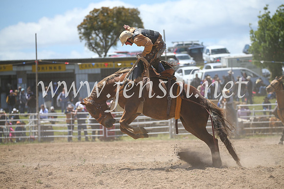 BungendoreRodeo2016-2358