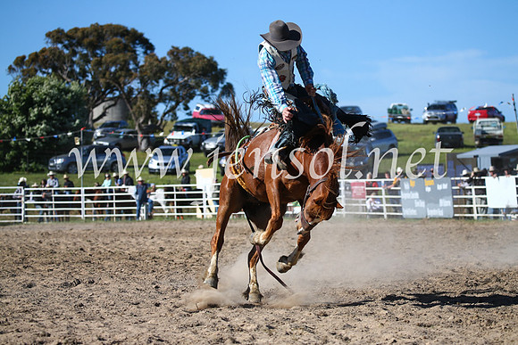 BungendoreRodeo2016-4482