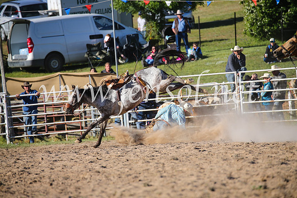 BungendoreRodeo2016-5082
