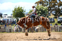 BungendoreRodeo2016-2431