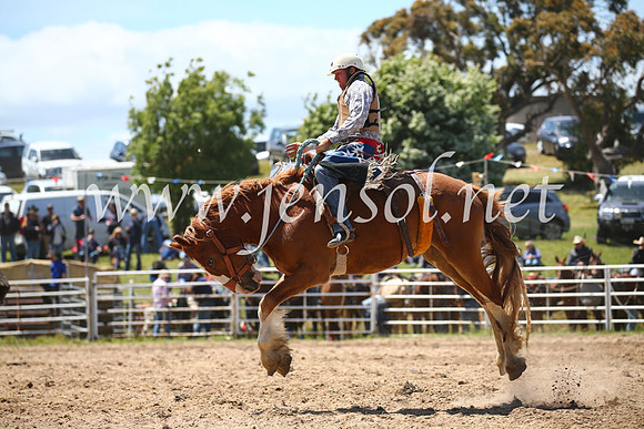BungendoreRodeo2016-2431
