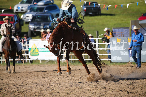 BungendoreRodeo2016-4743