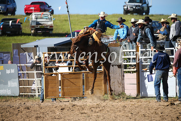 BungendoreRodeo2016-4569