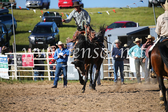BungendoreRodeo2016-5145