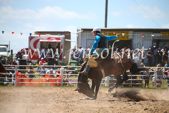 BungendoreRodeo2016-2521