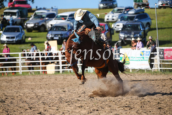 BungendoreRodeo2016-4758
