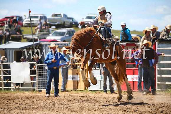 BungendoreRodeo2016-2423