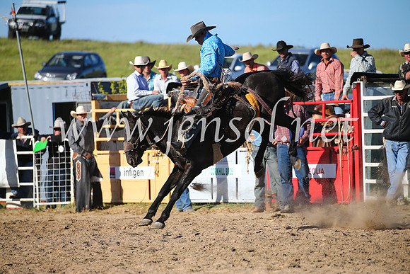 BungendoreRodeo2016-4992