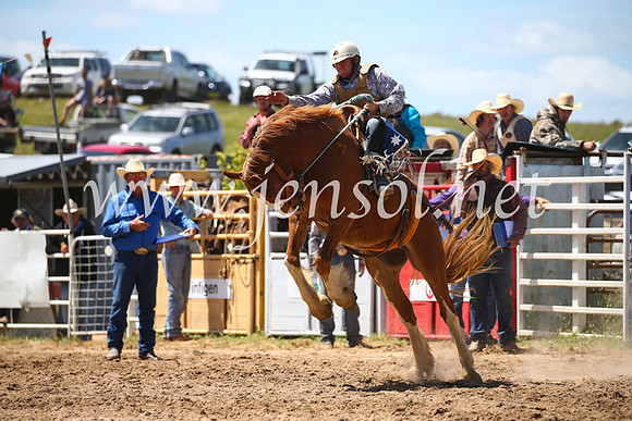 BungendoreRodeo2016-2422