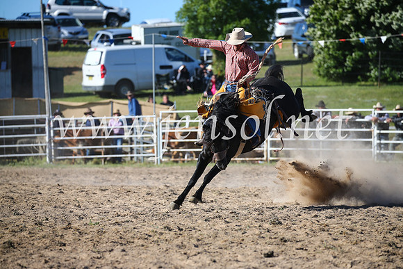 BungendoreRodeo2016-4551