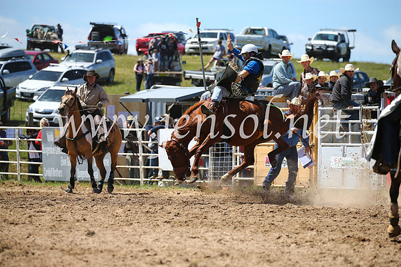 BungendoreRodeo2016-2541