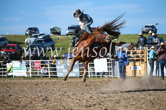 BungendoreRodeo2016-4472