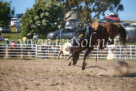BungendoreRodeo2016-4433