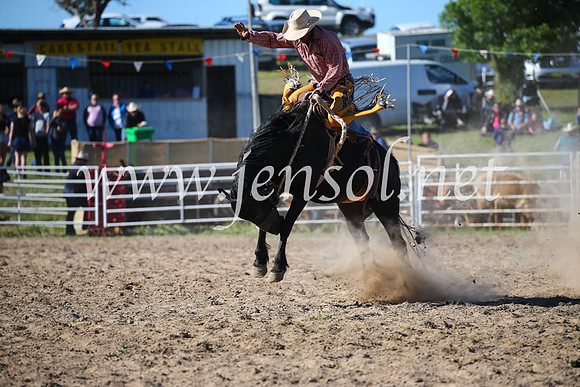 BungendoreRodeo2016-4549