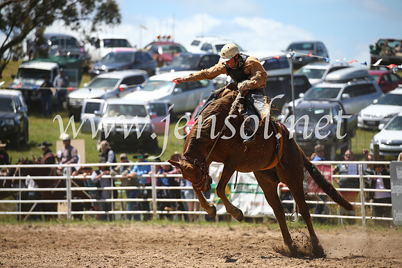 BungendoreRodeo2016-2345