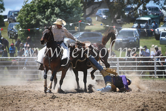 BungendoreRodeo2016-2406