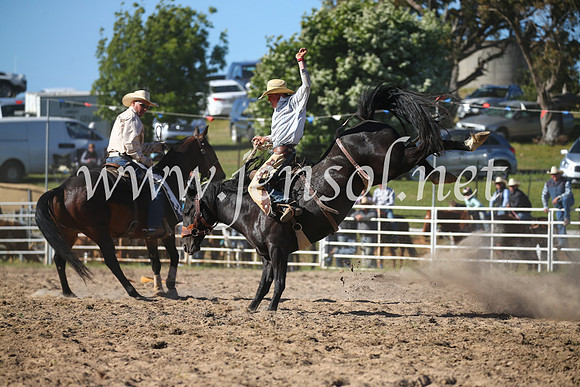 BungendoreRodeo2016-4514