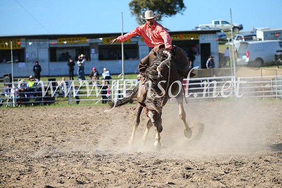 BungendoreRodeo2016-5128